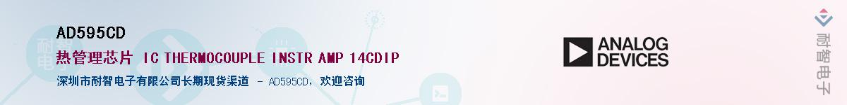 AD595CD������-�������