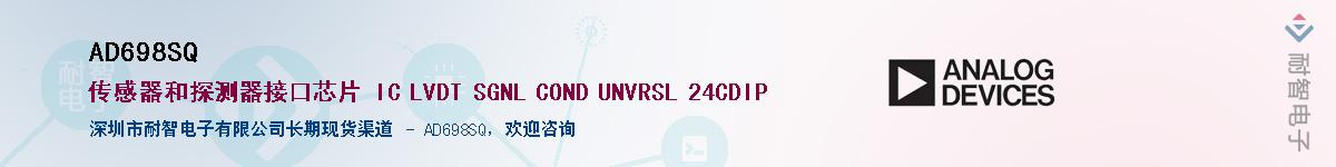 AD698SQ������-�������