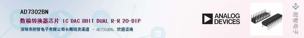 AD7302BN������-�������