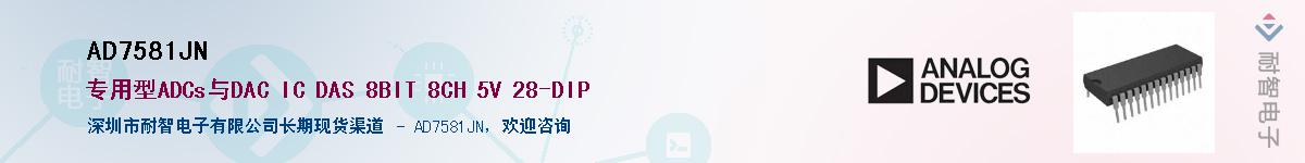 AD7581JN������-�������