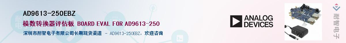 AD9613-250EBZ������-�������