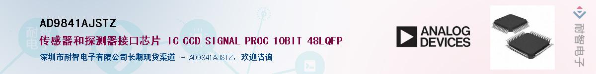 AD9841AJSTZ������-�������