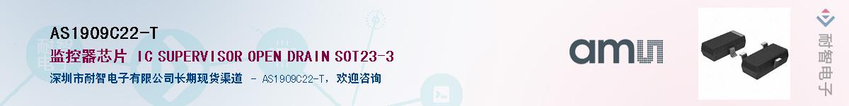 AS1909C22-T������-�������