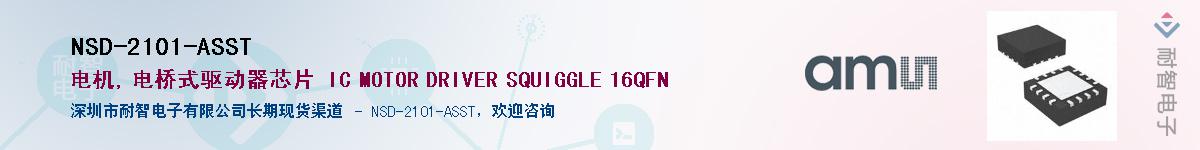 NSD-2101-ASST������-�������