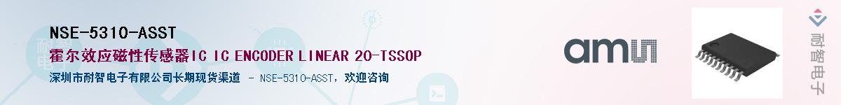 NSE-5310-ASST����(y��ng)��-�������