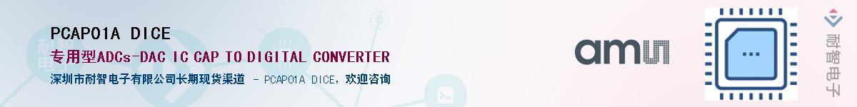 PCAP01A DICE������-�������