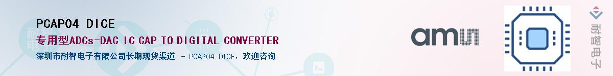 PCAP04 DICE������-�������