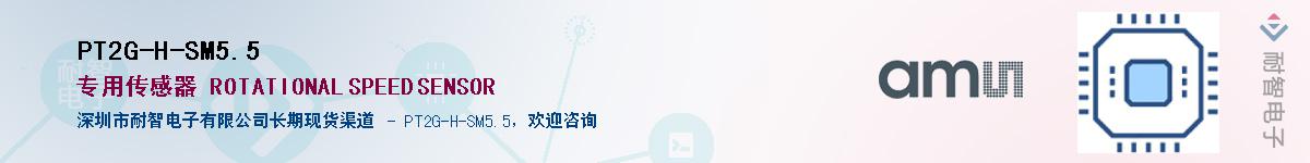 PT2G-H-SM5.5������-�������