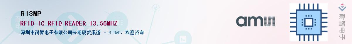 R13MP������-�������