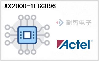 AX2000-1FGG896
