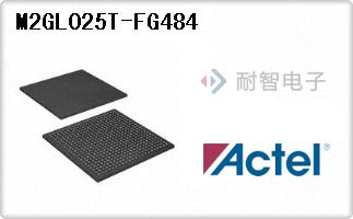 M2GL025T-FG484