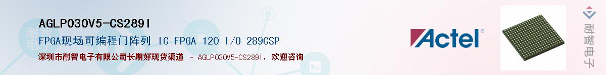 AGLP030V5-CS289I������-�������