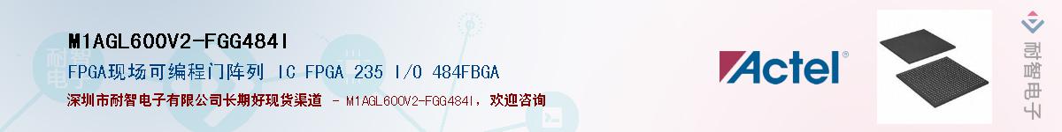 M1AGL600V2-FGG484I������-�������