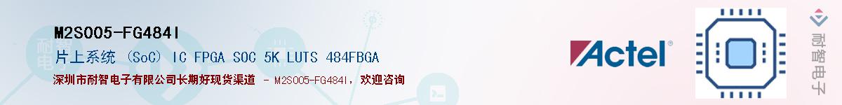 M2S005-FG484I������-�������