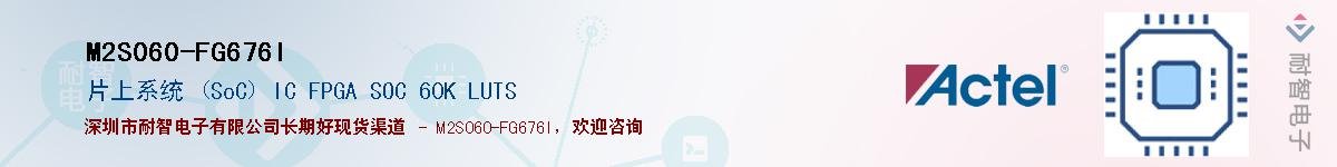 M2S060-FG676I������-�������