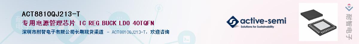 ACT8810QJ213-T������-�������