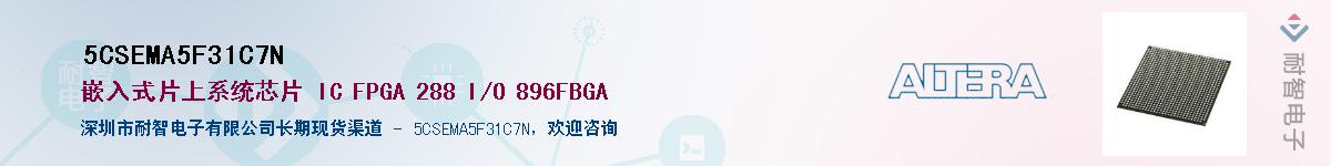 5CSEMA5F31C7N������-�������