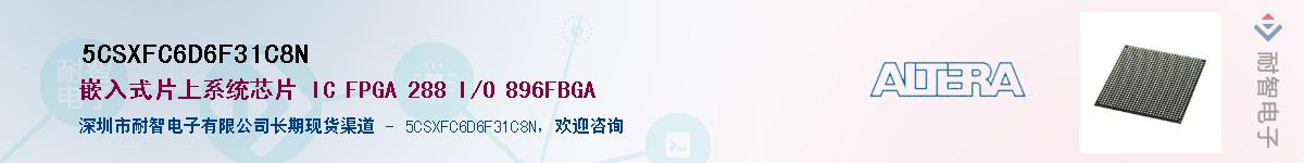 5CSXFC6D6F31C8N������-�������