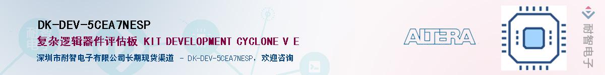 DK-DEV-5CEA7NESP������-�������