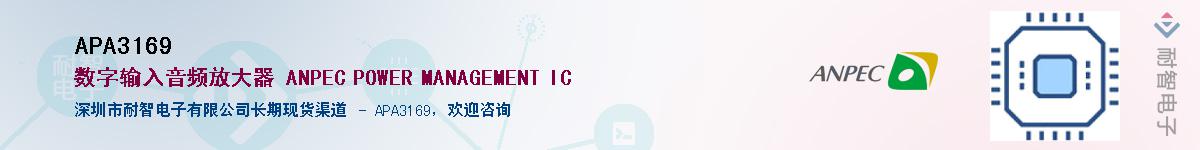 APA3169������-�������