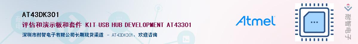 AT43DK301������-�������