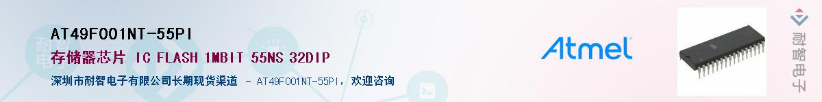 AT49F001NT-55PI������-�������