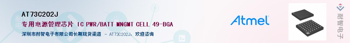 AT73C202J������-�������