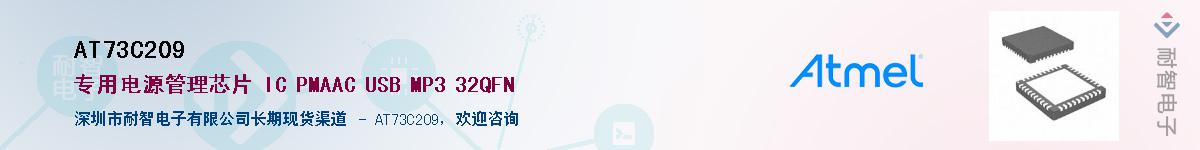 AT73C209������-�������