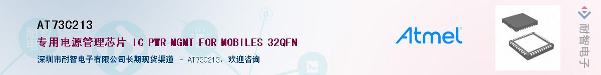 AT73C213������-�������