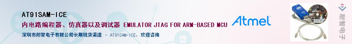 AT91SAM-ICE����(y��ng)��-�������