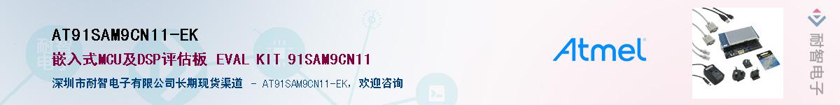 AT91SAM9CN11-EK������-�������