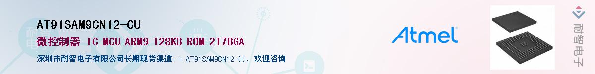 AT91SAM9CN12-CU������-�������