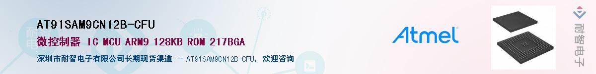AT91SAM9CN12B-CFU����(y��ng)��-�������