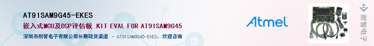 AT91SAM9G45-EKES������-�������