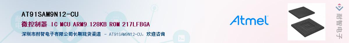 AT91SAM9N12-CU������-�������