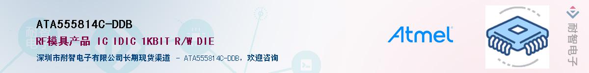 ATA555814C-DDB����(y��ng)��-�������