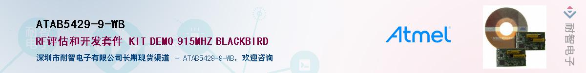 ATAB5429-9-WB����(y��ng)��-�������