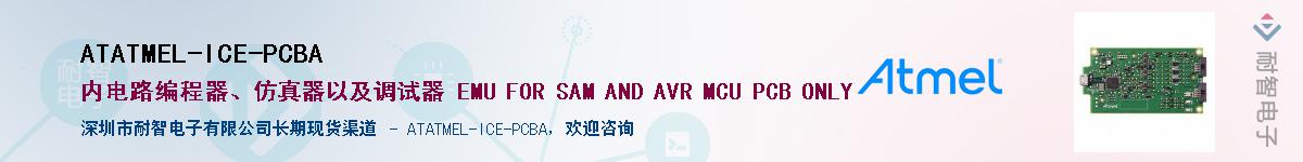 ATATMEL-ICE-PCBA������-�������