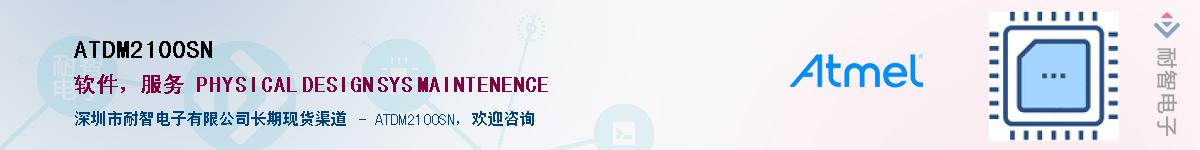 ATDM2100SN������-�������