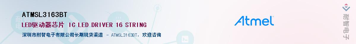 ATMSL3163BT������-�������
