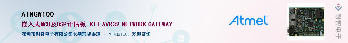 ATNGW100������-�������