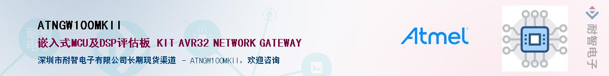 ATNGW100MKII����(y��ng)��-�������