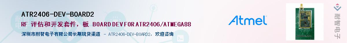ATR2406-DEV-BOARD2������-�������