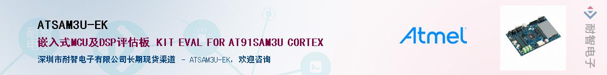 ATSAM3U-EK������-�������