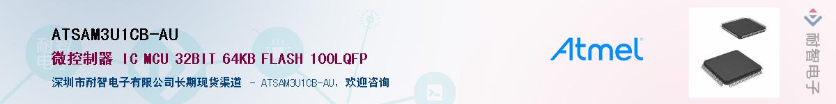 ATSAM3U1CB-AU����(y��ng)��-�������