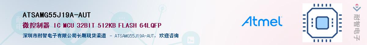 ATSAMG55J19A-AUT����(y��ng)��-�������