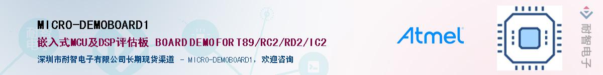 MICRO-DEMOBOARD1������-�������