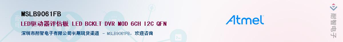 MSLB9061FB������-�������