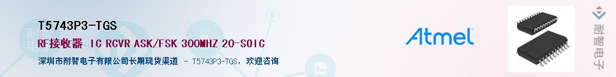 T5743P3-TGS����(y��ng)��-�������