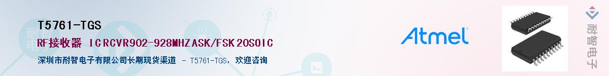 T5761-TGS����(y��ng)��-�������